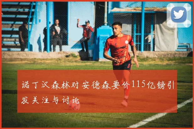 诺丁汉森林对安德森要价115亿镑引发关注与讨论