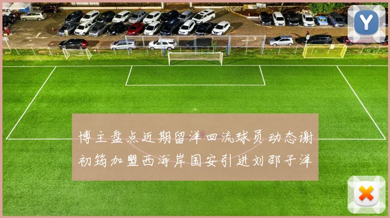 博主盘点近期留洋回流球员动态谢初筠加盟西海岸国安引进刘邵子洋