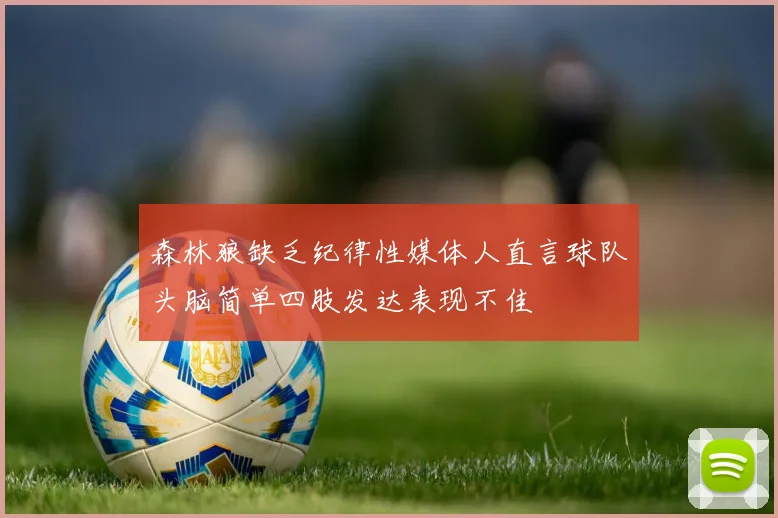 森林狼缺乏纪律性媒体人直言球队头脑简单四肢发达表现不佳